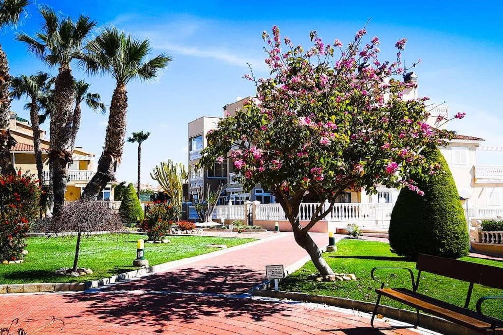 Z Duzym Tarasem Na Pieknym Osiedlu Apartamento Orihuela